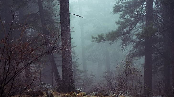 Jungian Dream Analysis: How to Interpret Your Dreams Using Jung's Method