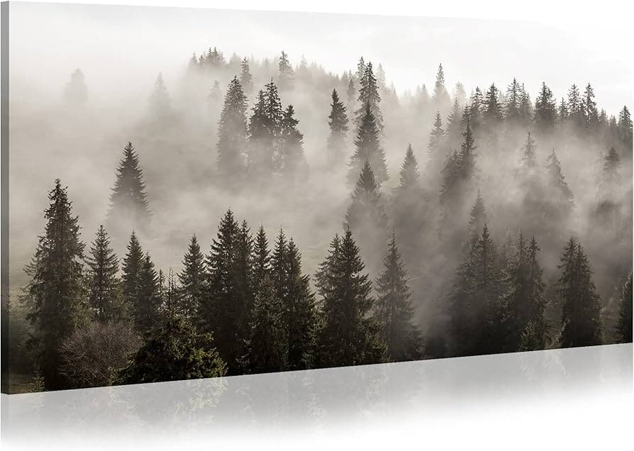 Black and White Dreams Meaning: Spiritual Truths Revealed